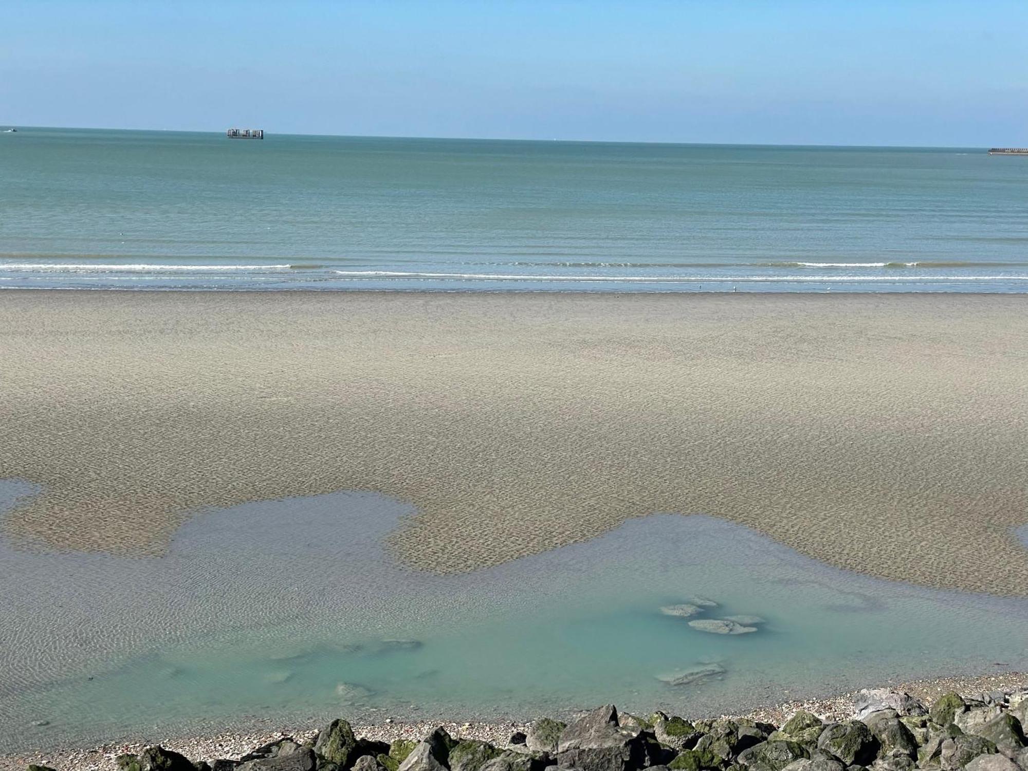 Villa Face Mer Aux Magnifiques Couchers De Soleil 5 Mn De Nausicaa Boulogne-sur-Mer Exteriör bild